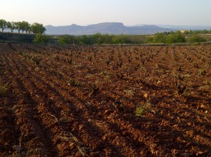 florislegere-abr2011-033
