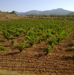 La Cañadilla