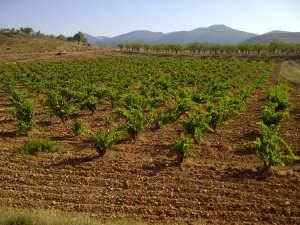 La Cañadilla
