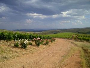 El Val