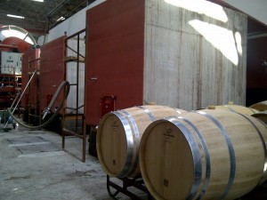 Cave de vinification
